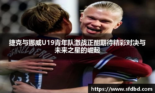球王会官方网站
